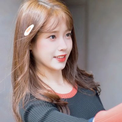 第19分部